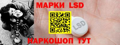 индика Новозыбков
