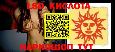 индика Новозыбков