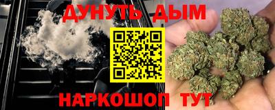 индика Новозыбков