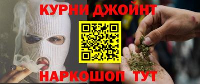 индика Новозыбков