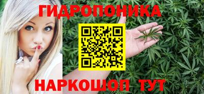 трава Новодвинск