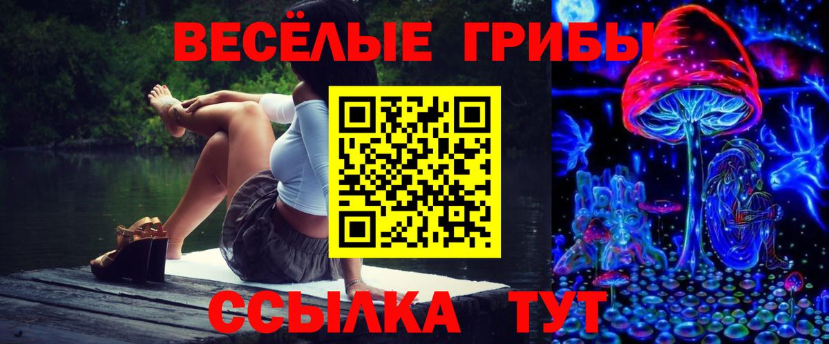 Псилоцибиновые грибы Psilocybe Холмск