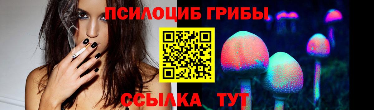 Псилоцибиновые грибы Psilocybe  Вход с VPN  Холмск  Галлюциногенные грибы мухоморы 